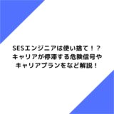 SESエンジニアは使い捨て！？キャリアが停滞する危険信号やキャリアプランをなど解説！